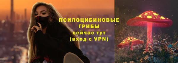 синтетический гашиш Горнозаводск