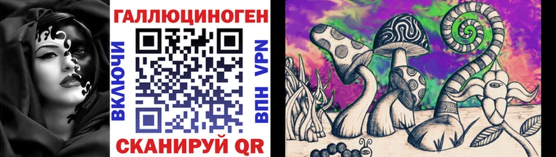 Псилоцибиновые грибы мухоморы  кракен сайт  Елец 